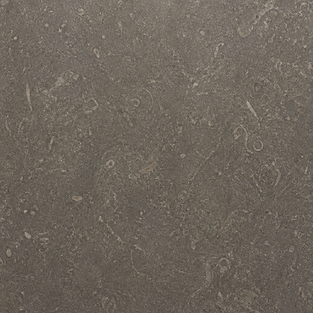 Seagrass Fossil Limestone Vessel Sink