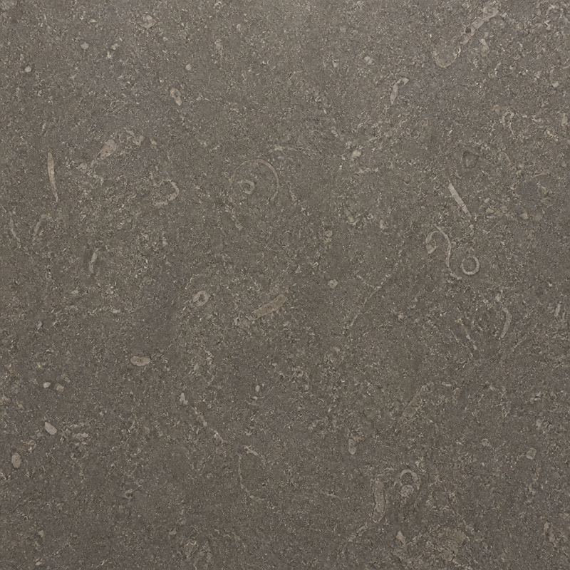 Seagrass Fossil Limestone Vessel Sink — detail 1